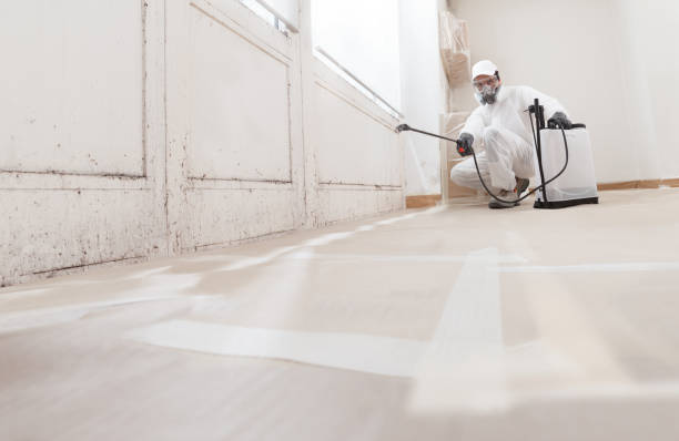 24/7 Emergency Basement Mold Remediation experts in Bala Cynwyd, PA