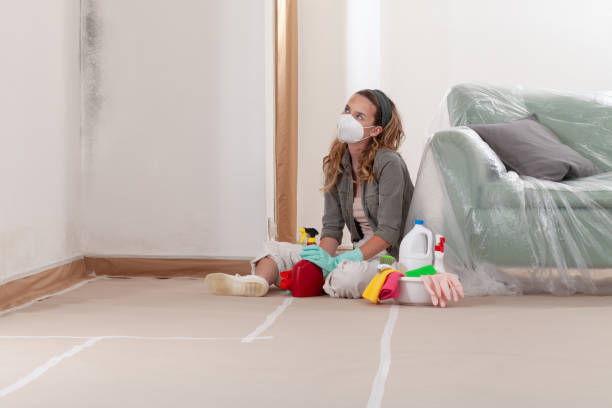 Reliable Basement Mold Remediation contractor in Bala Cynwyd, PA by WQB Mold Removal